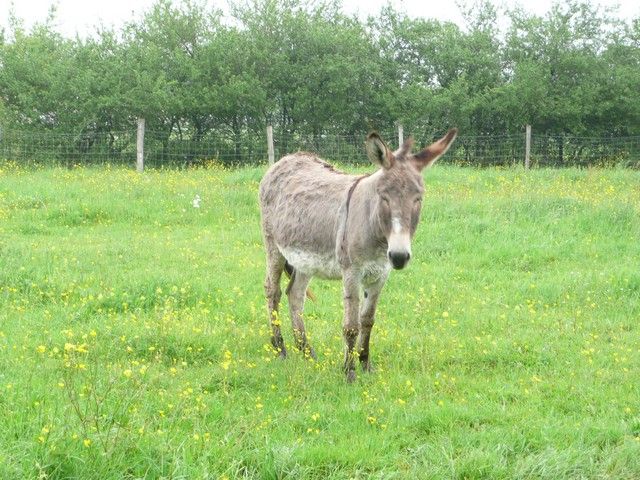 nettoyage mai 2012 (14).jpg